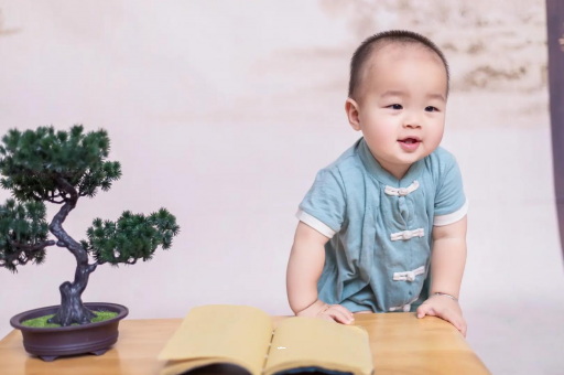 抚州可爱的企鹅宝宝